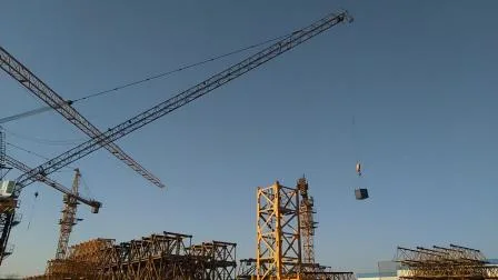 La mejor opción para conductores de grúas de construcción Grúa torre Hammerhead Ctl 110 (4015)